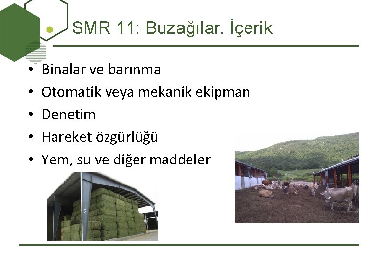 SMR 11: Buzağılar. İçerik • • • Binalar ve barınma Otomatik veya mekanik ekipman