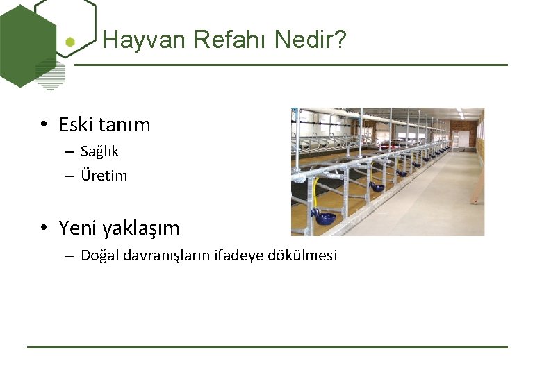 Hayvan Refahı Nedir? • Eski tanım – Sağlık – Üretim • Yeni yaklaşım –