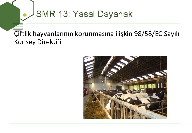 SMR 13: Yasal Dayanak Çiftlik hayvanlarının korunmasına ilişkin 98/58/EC Sayılı Konsey Direktifi 