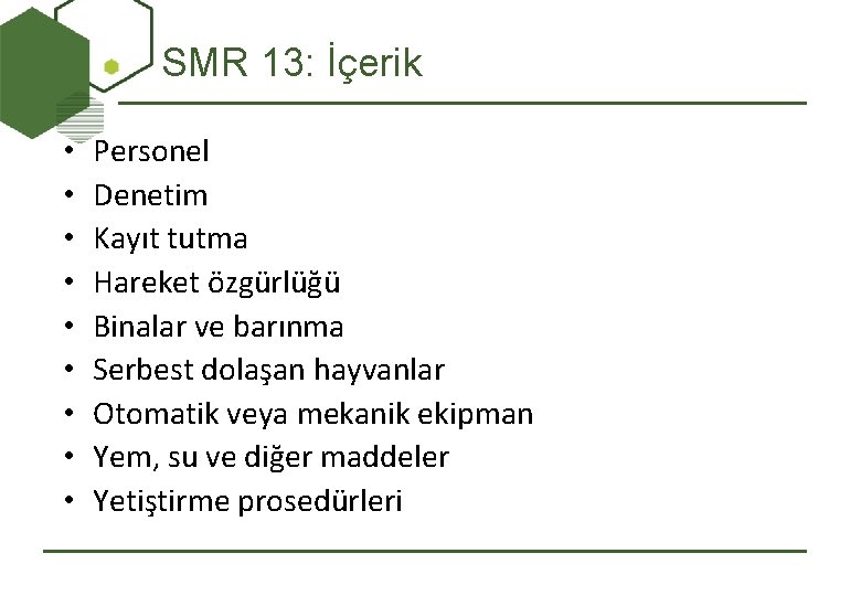 SMR 13: İçerik • • • Personel Denetim Kayıt tutma Hareket özgürlüğü Binalar ve