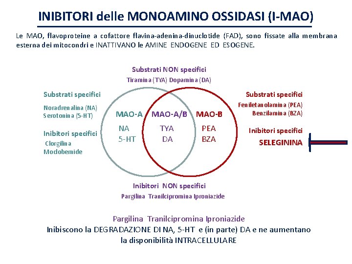 INIBITORI delle MONOAMINO OSSIDASI (I-MAO) Le MAO, flavoproteine a cofattore flavina-adenina-dinuclotide (FAD), sono fissate