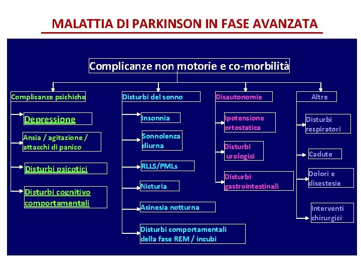 MALATTIA DI PARKINSON IN FASE AVANZATA Complicanze non motorie e co-morbilità Complicanze psichiche Disturbi