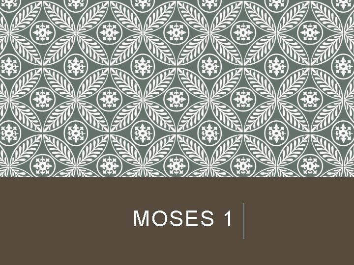 MOSES 1 