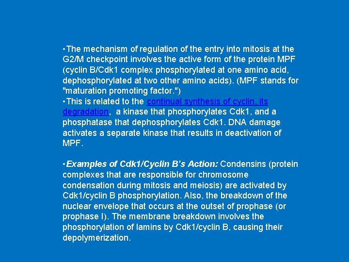 • The mechanism of regulation of the entry into mitosis at the G • The mechanism of regulation of the entry into mitosis at the G