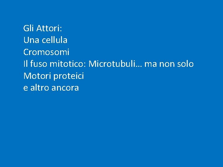 Gli Attori: Una cellula Cromosomi Il fuso mitotico: Microtubuli… ma non solo Motori proteici Gli Attori: Una cellula Cromosomi Il fuso mitotico: Microtubuli… ma non solo Motori proteici
