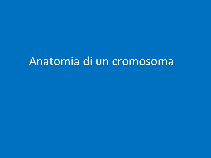 Anatomia di un cromosoma 