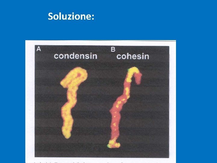 Soluzione: Soluzione: