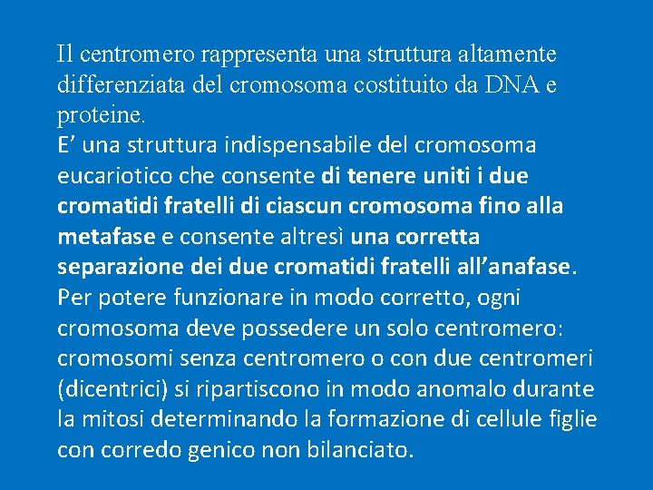 Il centromero rappresenta una struttura altamente differenziata del cromosoma costituito da DNA e proteine.