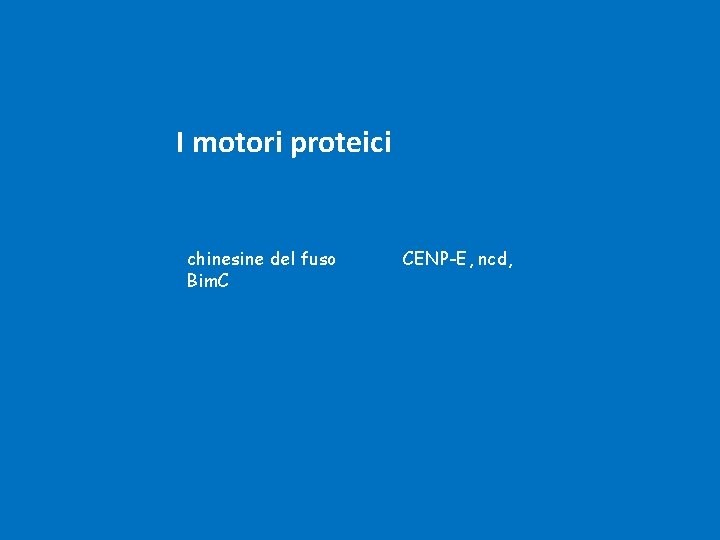 I motori proteici chinesine del fuso Bim. C CENP-E, ncd, 