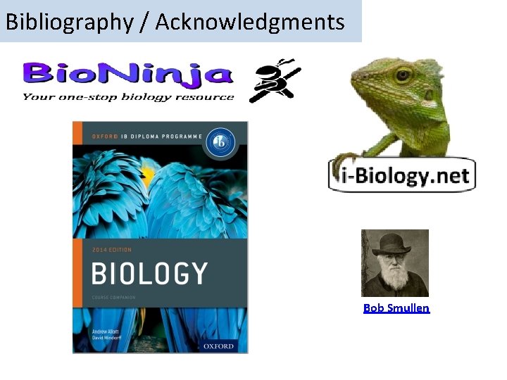 Bibliography / Acknowledgments Bob Smullen 