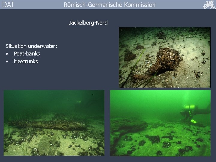 DAI Römisch-Germanische Kommission Jäckelberg-Nord Situation underwater: • Peat-banks • treetrunks 