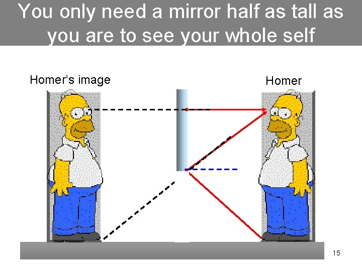 You only need a mirror half as tall as you are to see your