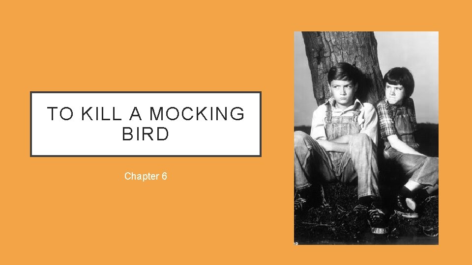 TO KILL A MOCKING BIRD Chapter 6 