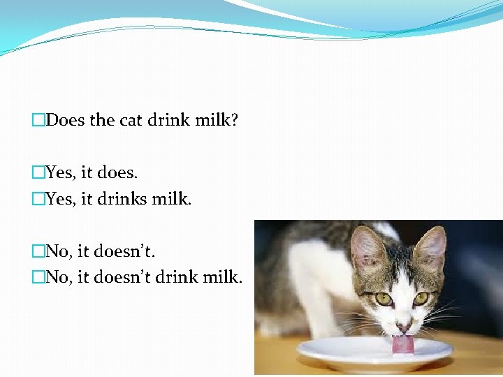 �Does the cat drink milk? �Yes, it does. �Yes, it drinks milk. �No, it