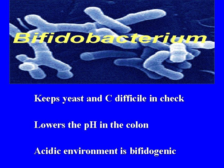 Keeps yeast and C difficile in check Lowers the p. H in the colon
