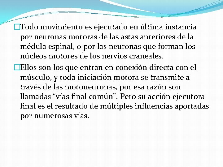 �Todo movimiento es ejecutado en última instancia por neuronas motoras de las astas anteriores