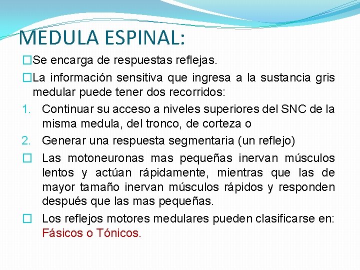 MEDULA ESPINAL: �Se encarga de respuestas reflejas. �La información sensitiva que ingresa a la