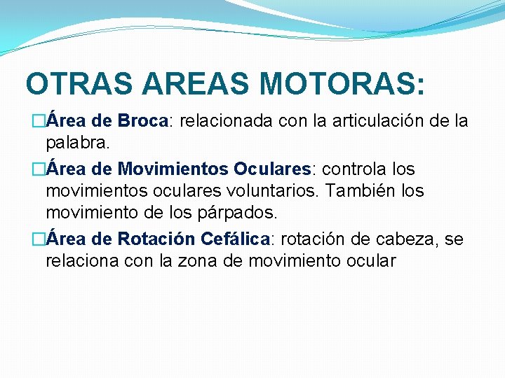 OTRAS AREAS MOTORAS: �Área de Broca: relacionada con la articulación de la palabra. �Área