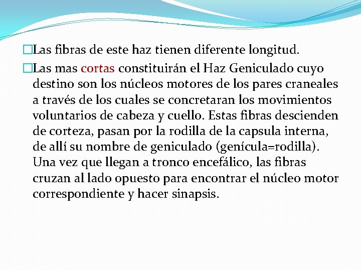 �Las fibras de este haz tienen diferente longitud. �Las mas cortas constituirán el Haz �Las fibras de este haz tienen diferente longitud. �Las mas cortas constituirán el Haz