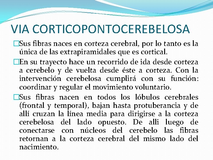 VIA CORTICOPONTOCEREBELOSA �Sus fibras naces en corteza cerebral, por lo tanto es la única