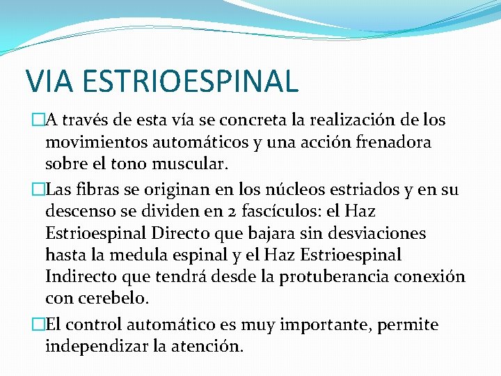 VIA ESTRIOESPINAL �A través de esta vía se concreta la realización de los movimientos VIA ESTRIOESPINAL �A través de esta vía se concreta la realización de los movimientos