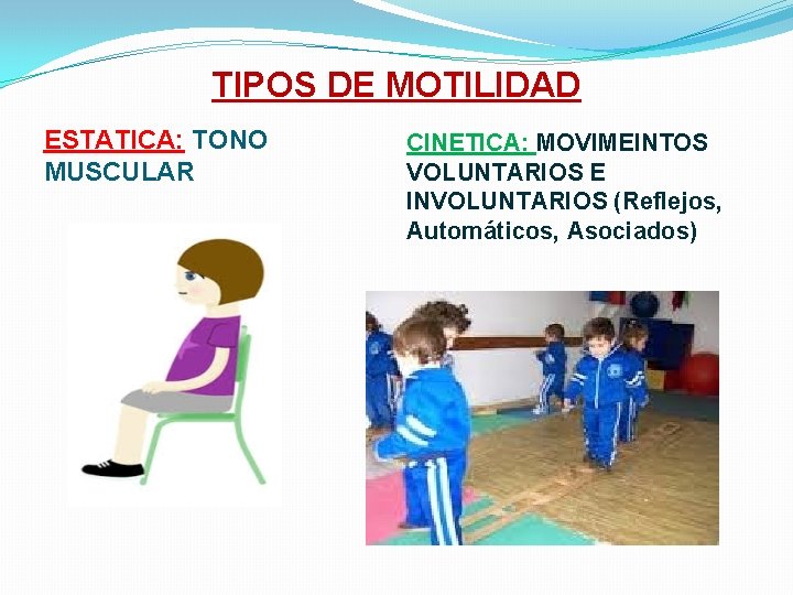 TIPOS DE MOTILIDAD ESTATICA: TONO MUSCULAR CINETICA: MOVIMEINTOS VOLUNTARIOS E INVOLUNTARIOS (Reflejos, Automáticos, Asociados)