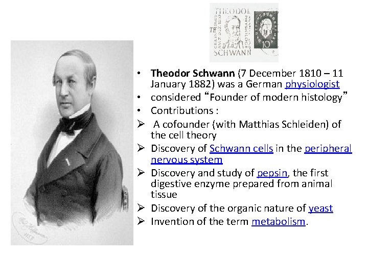 • Theodor Schwann (7 December 1810 – 11 January 1882) was a German • Theodor Schwann (7 December 1810 – 11 January 1882) was a German