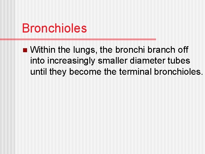 Bronchioles n Within the lungs, the bronchi branch off into increasingly smaller diameter tubes