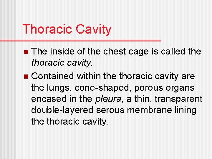 Thoracic Cavity The inside of the chest cage is called the thoracic cavity. n