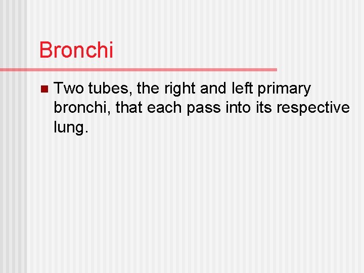 Bronchi n Two tubes, the right and left primary bronchi, that each pass into