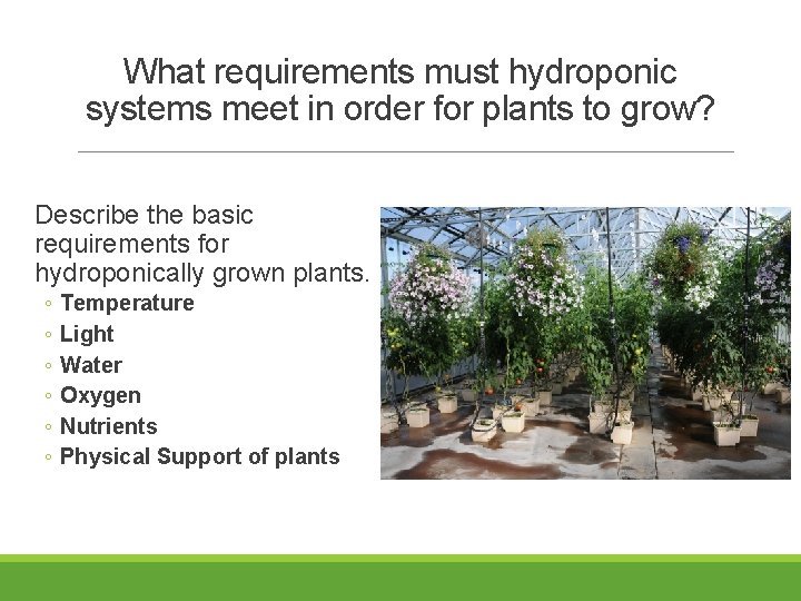 What requirements must hydroponic systems meet in order for plants to grow? Describe the