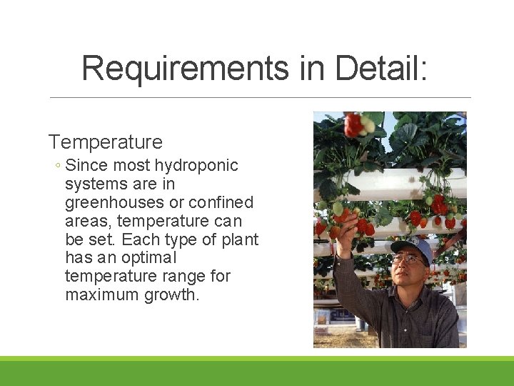 Requirements in Detail: Temperature ◦ Since most hydroponic systems are in greenhouses or confined