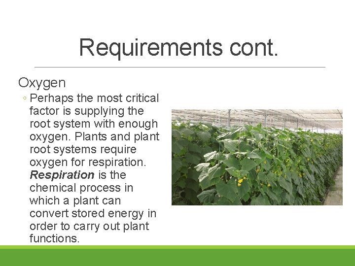 Requirements cont. Oxygen ◦ Perhaps the most critical factor is supplying the root system