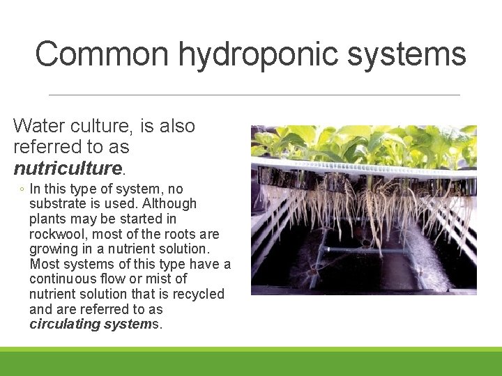 Common hydroponic systems Water culture, is also referred to as nutriculture. ◦ In this