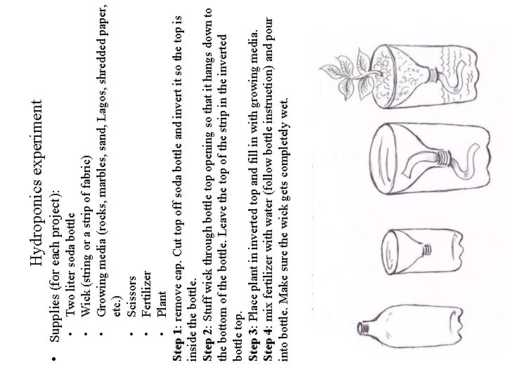 Two liter soda bottle Wick (string or a strip of fabric) Growing media (rocks,