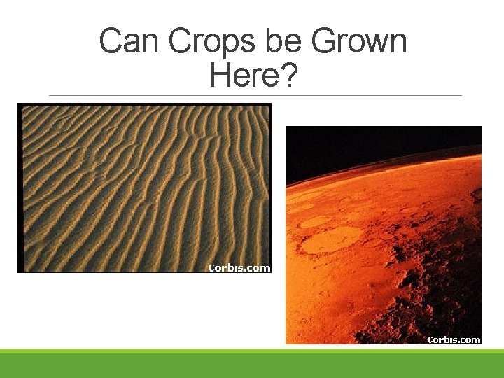 Can Crops be Grown Here? 