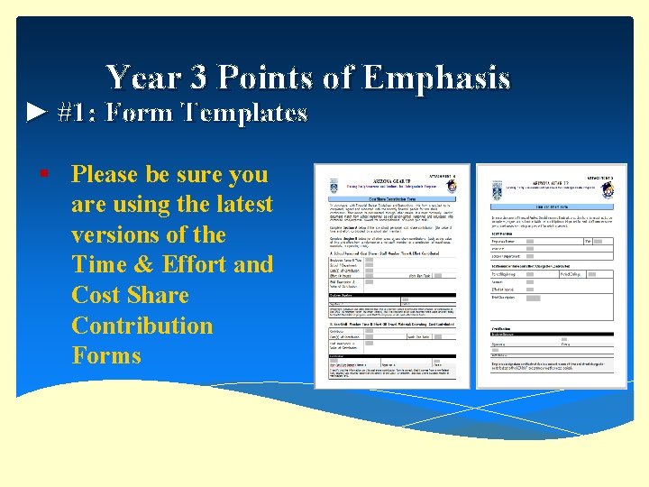 Year 3 Points of Emphasis ► #1: Form Templates § Please be sure you