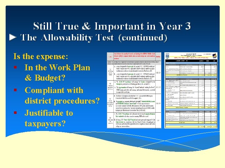 Still True & Important in Year 3 ► The Allowability Test (continued) Is the
