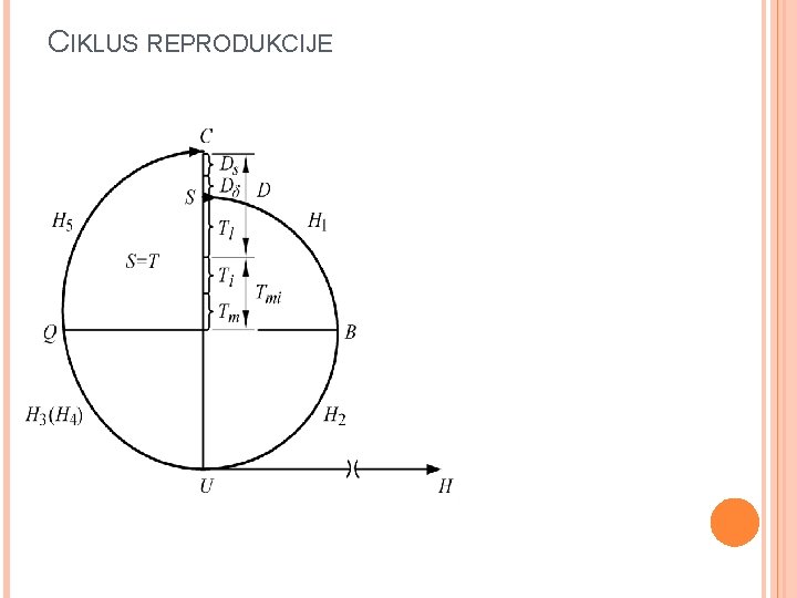 CIKLUS REPRODUKCIJE 