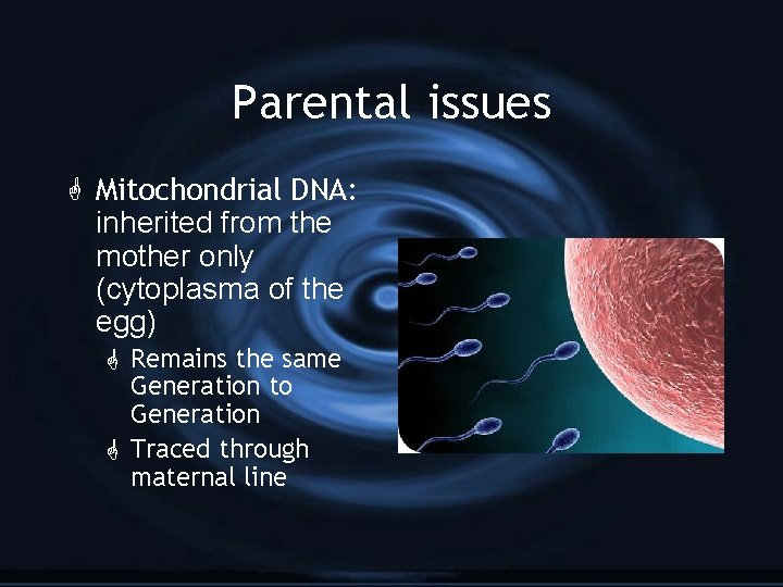 Parental issues G Mitochondrial DNA: inherited from the mother only (cytoplasma of the egg)