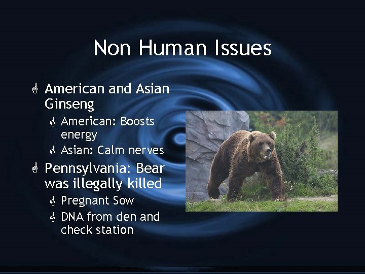 Non Human Issues G American and Asian Ginseng G American: Boosts energy G Asian: