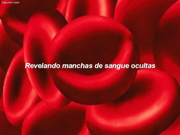 Segundo Caso: Revelando manchas de sangue ocultas 11 