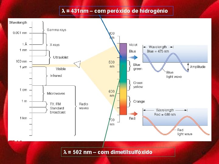  = 431 nm – com peróxido de hidrogênio = 502 nm – com