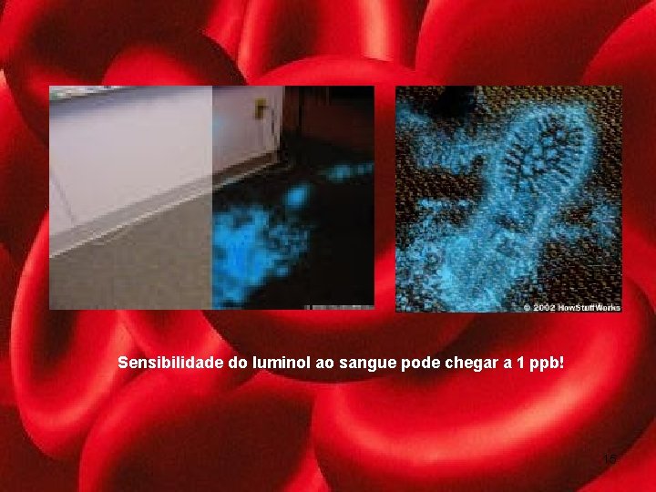 Sensibilidade do luminol ao sangue pode chegar a 1 ppb! 15 