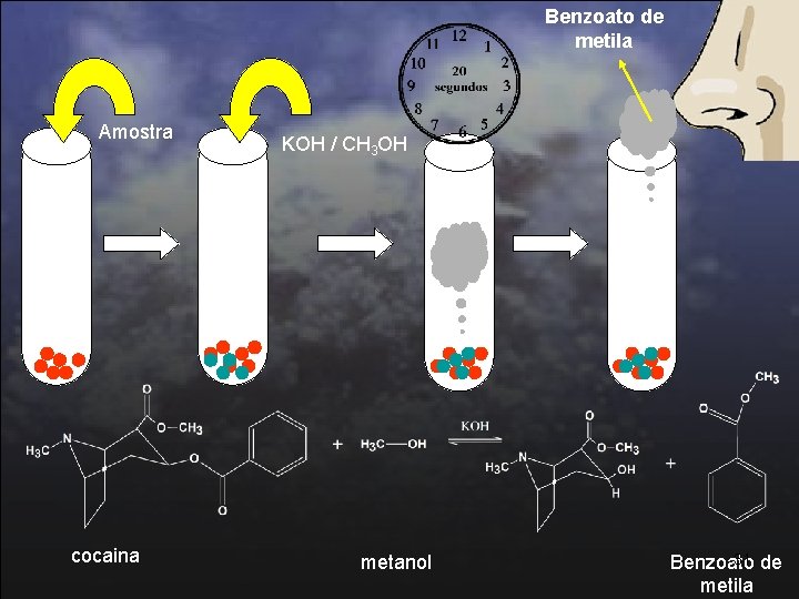 Benzoato de metila Amostra cocaina KOH / CH 3 OH metanol 31 Benzoato de