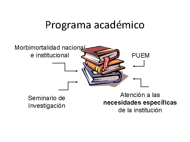 Programa académico Morbimortalidad nacional e institucional Seminario de Investigación PUEM Atención a las necesidades