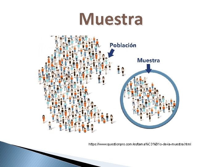 Muestra https: //www. questionpro. com/es/tama%C 3%B 1 o-de-la-muestra. html 