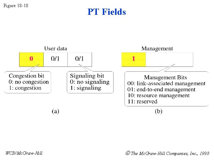 Figure 18 -18 WCB/Mc. Graw-Hill PT Fields The Mc. Graw-Hill Companies, Inc. , 1998