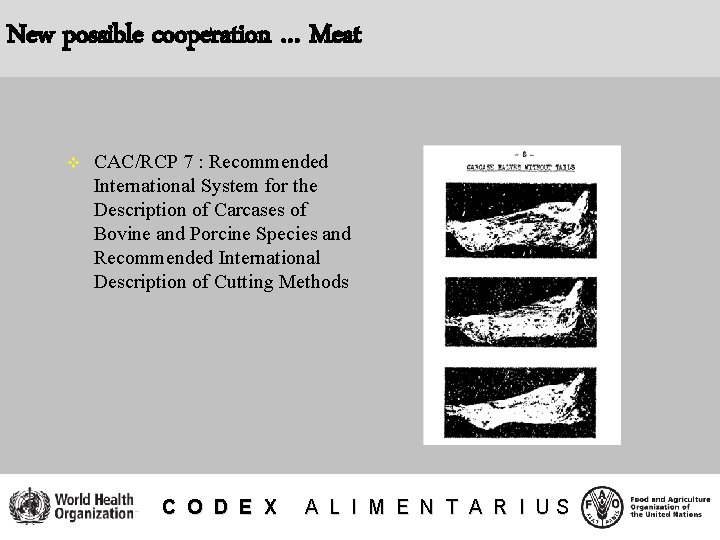 New possible cooperation … Meat v CAC/RCP 7 : Recommended International System for the