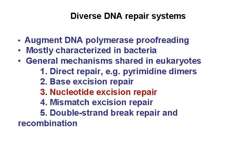 Diverse DNA repair systems • Augment DNA polymerase proofreading • Mostly characterized in bacteria
